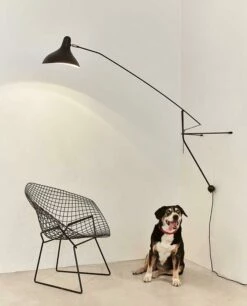 Applique MANTIS BS2 -BLOU PARIS Soldes applique mantis bs2 5