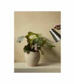 Tige D'arrosage Hydrous (set De 2) -BLOU PARIS Soldes tige d arrosage hydrous set de 2 1 2