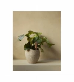 Tige D'arrosage Hydrous (set De 2) -BLOU PARIS Soldes tige d arrosage hydrous set de 2 1 5